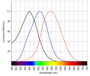 ipRGC (black), rod (blue), and cone (red) sensitivity curves