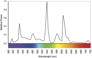 SPD of a Cool White Fluorescent