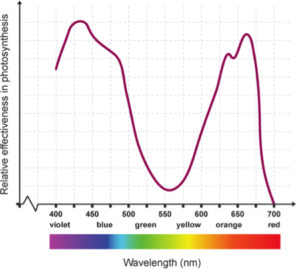 photosynthetically active spectrum